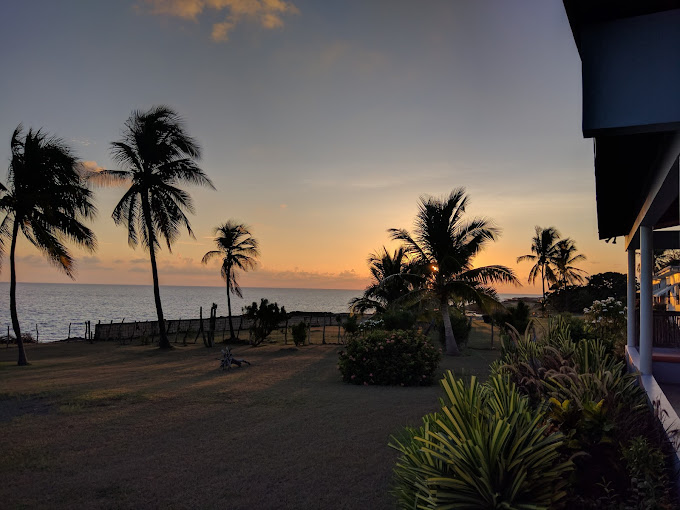 Viking Rasta Retreats 2