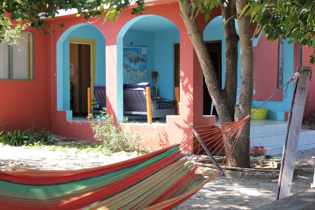 Viking Rasta Retreats 4