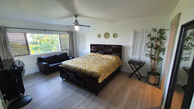 Villa Dianna Ocho Rios 3