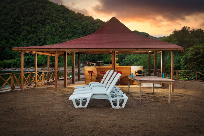 Vital Frequency Retreat 2