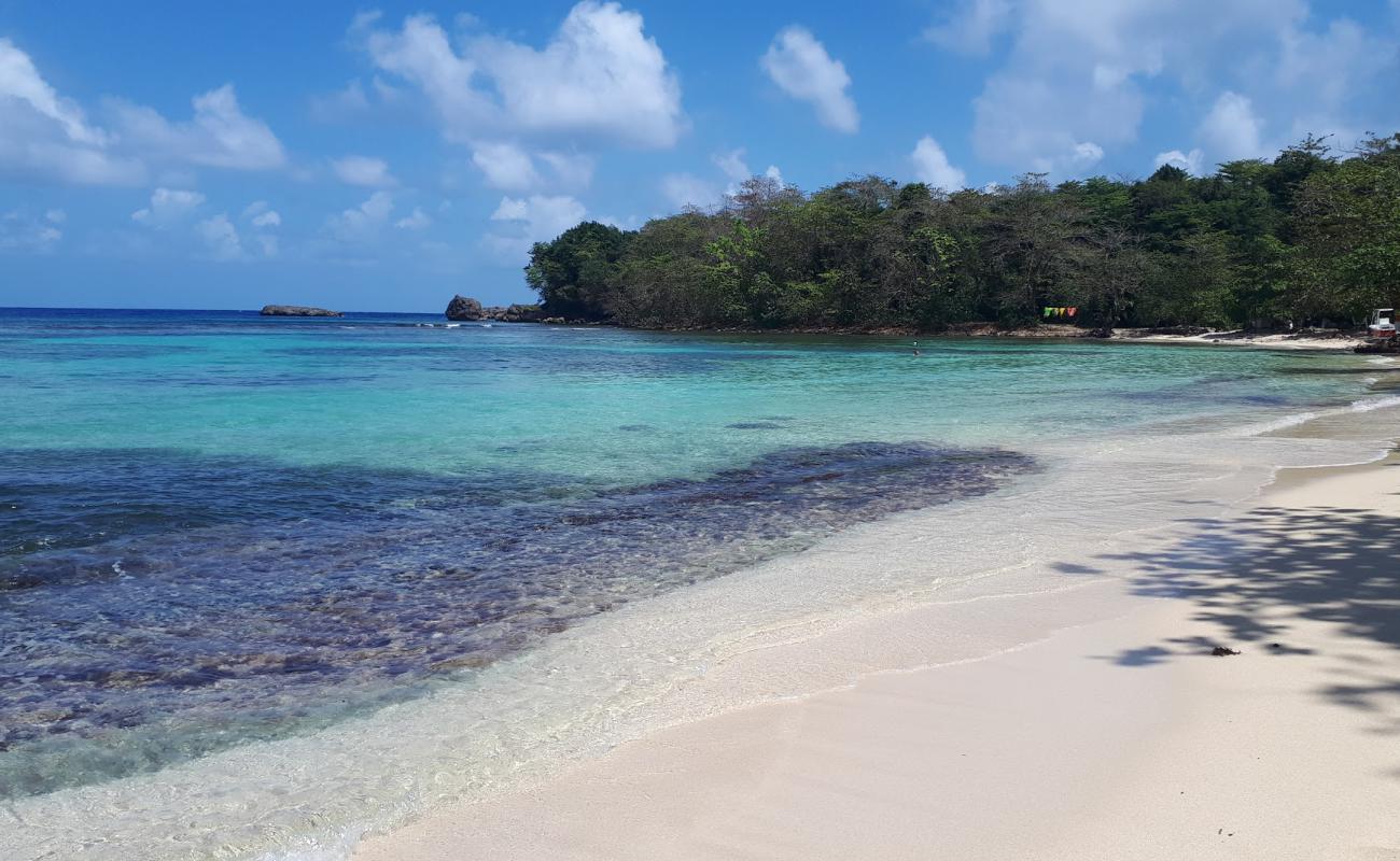 Winnifred Beach 2