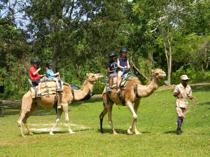 Yaaman Adventure Park 1