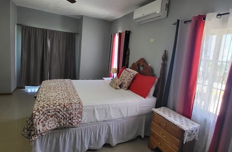 Kingsbird by the sea 3