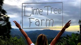 Lime Tree Farm 3