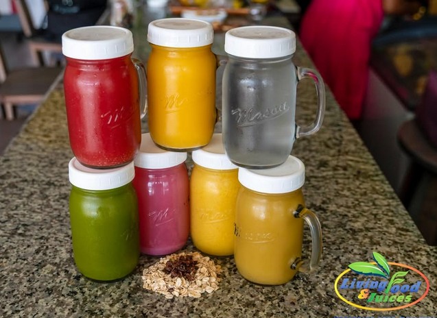 Living Food and Juices 4