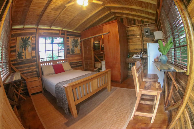 Log Thirty-Tree Treehouse 2