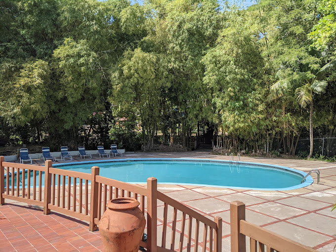 Log Thirty-Tree Treehouse 3