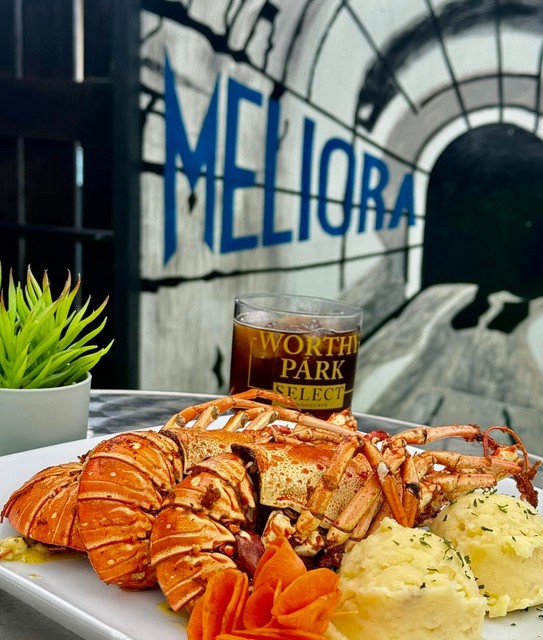 Meliora Ultra Lounge 1