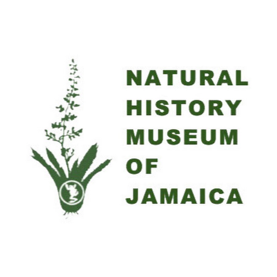 Natural History Museum of Jamaica 1