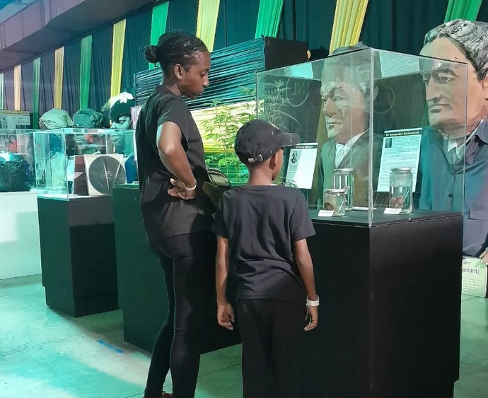 Natural History Museum of Jamaica 2