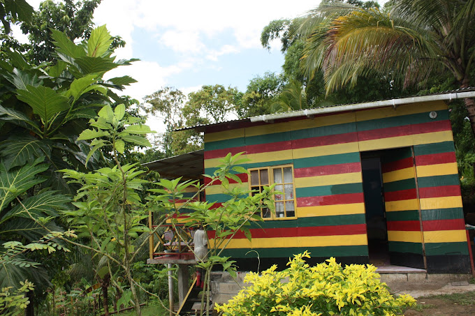 Nature In Portland 2