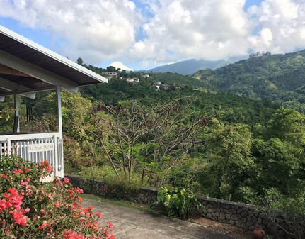 Neita's Nest - Jamaican Bed & Breakfast 3