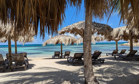 Ocean Coral Spring 4