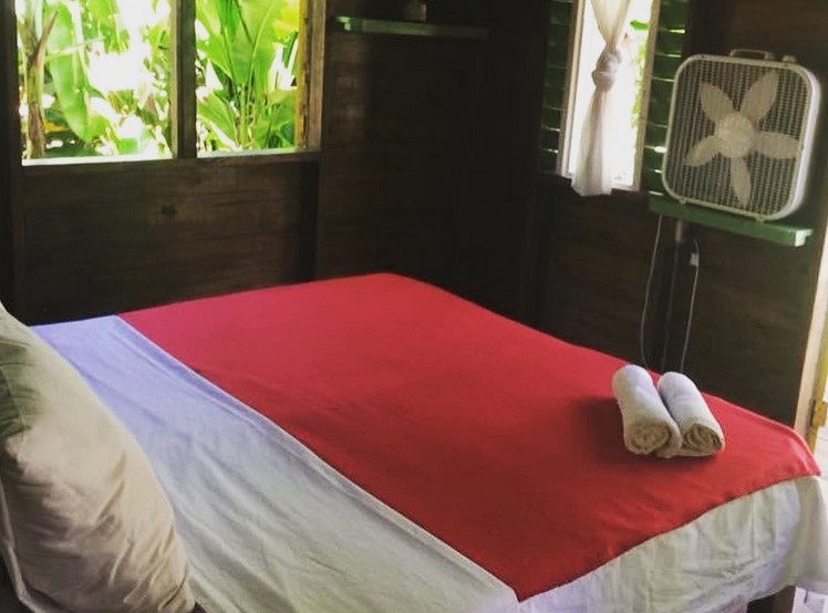 Palmyard Guesthouse 2