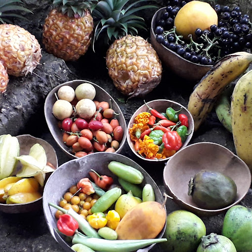 Rastafari Herbal Gardens 2