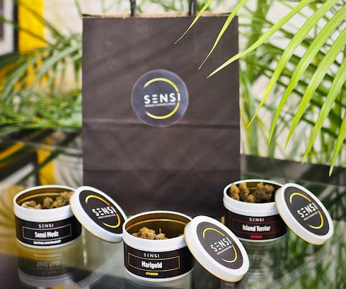 Sensi Medical Cannabis House 1