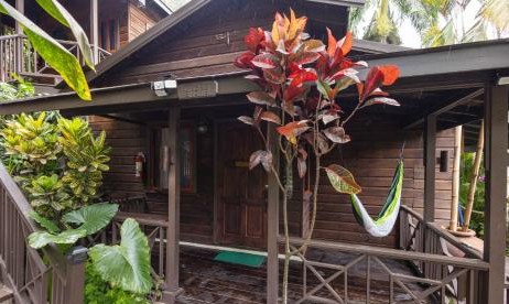 Serendipity Holistic Resort 5