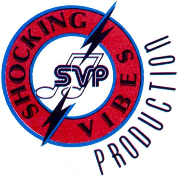 Shocking Vibes Recording Studio 2