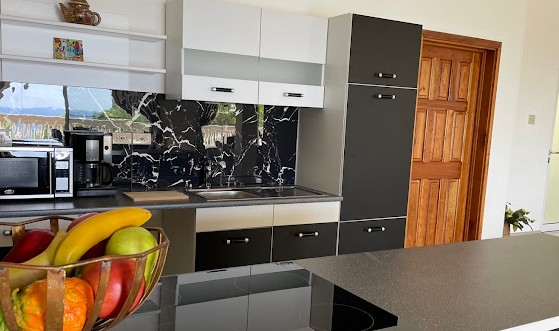 Spring Garden Mobay Resort 1