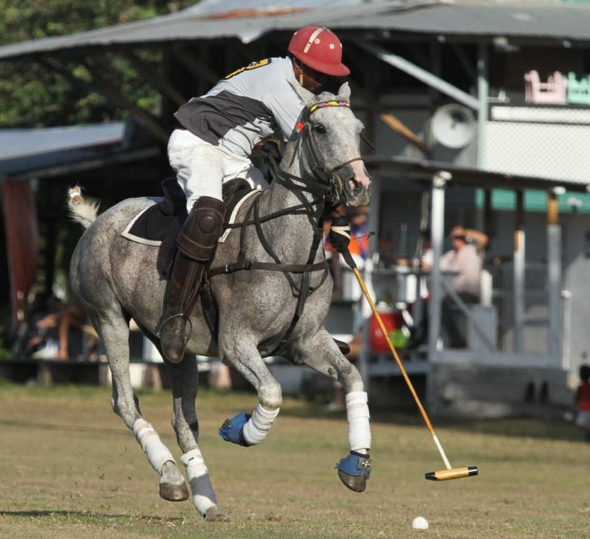 St. Ann Polo Club 2