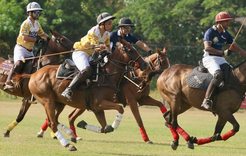 St. Ann Polo Club 6