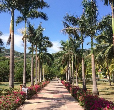 Turtle River Falls and Gardens 5