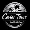 Montego Bay Airport to Hotels in Negril