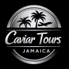 Montego Bay Airport to Hotels in Negril