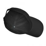 Dubwise Baseball Cap