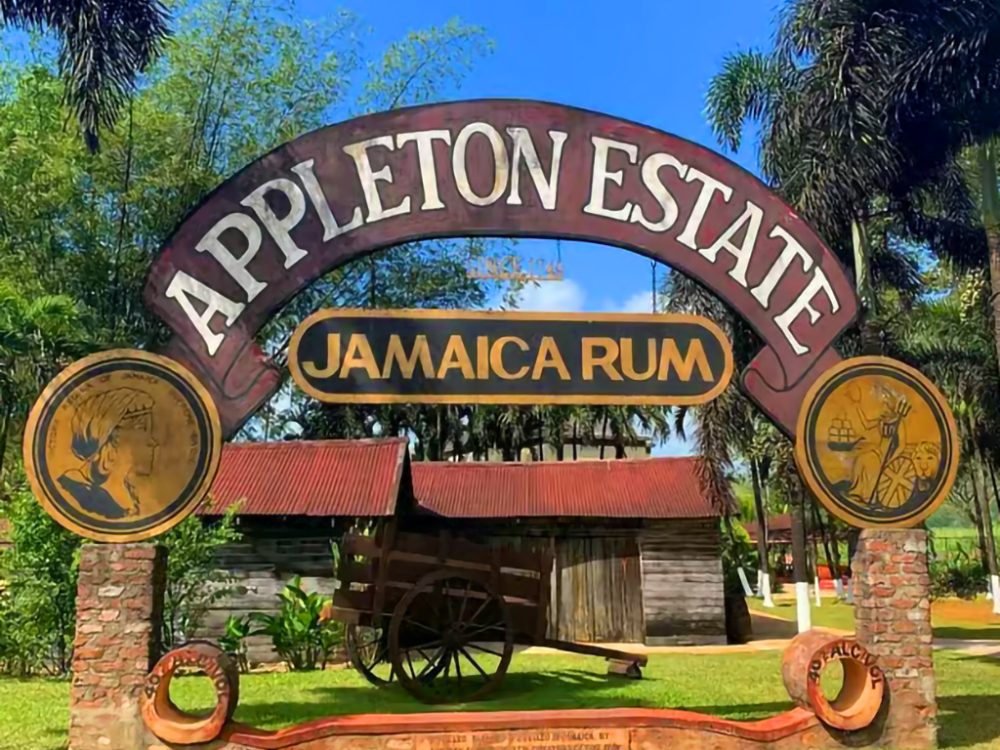 enjoy rum tastings on Appleton Estate Tour