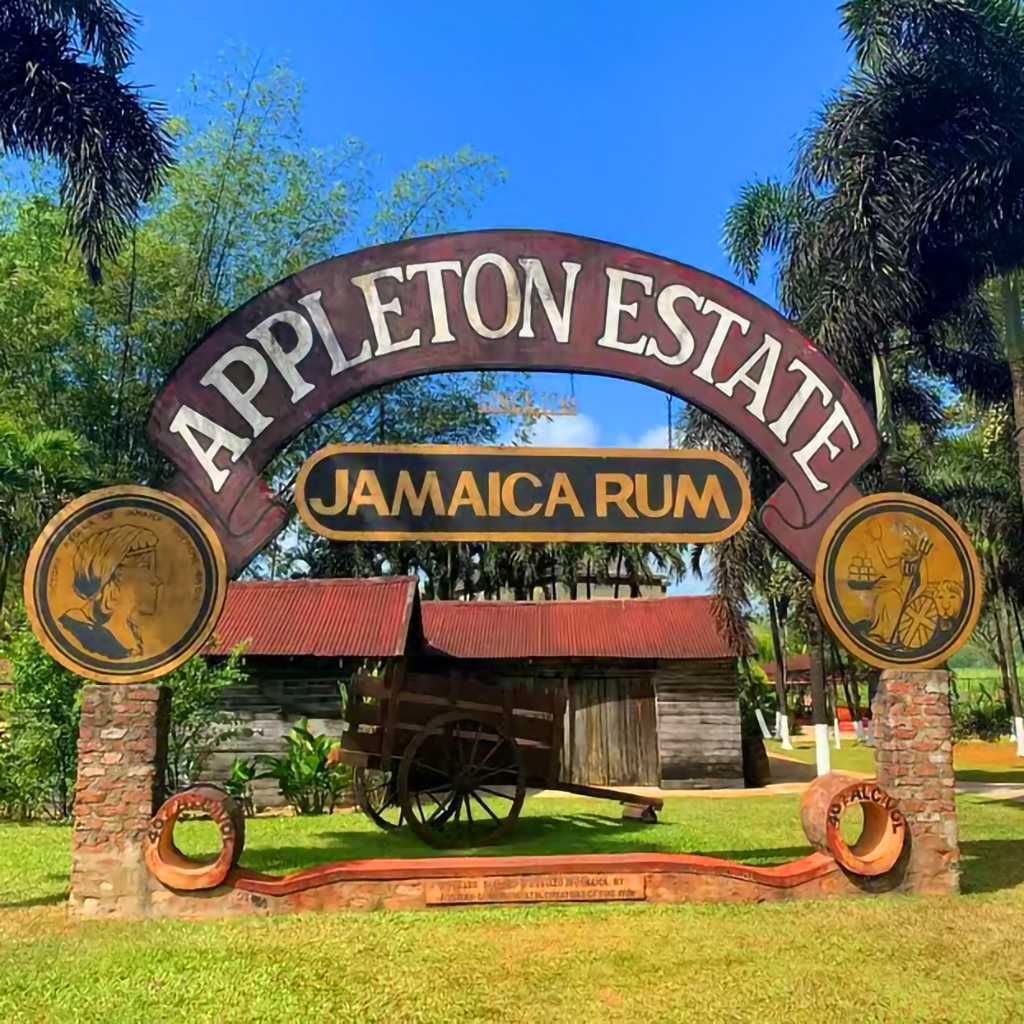 Cruise Black River, swim at YS Falls and enjoy rum tastings on Appleton Estate Tour