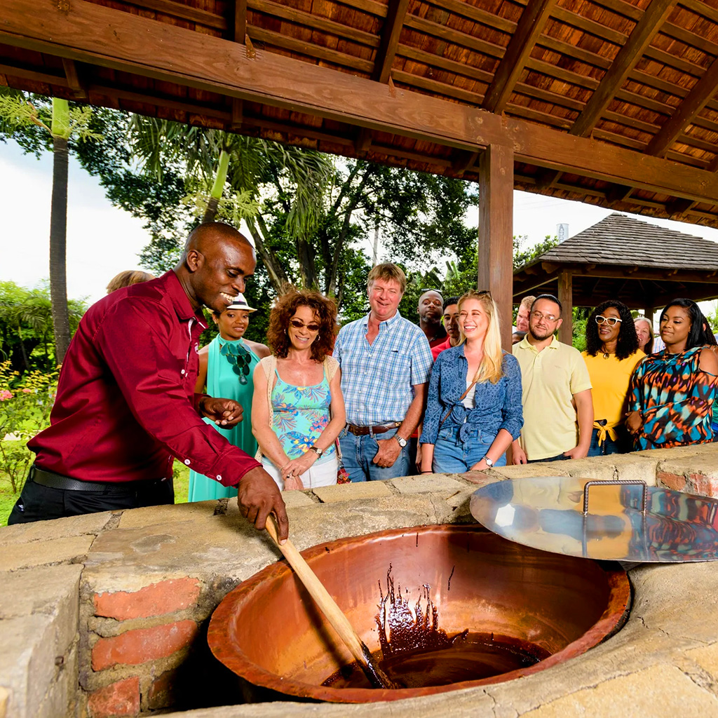 Cruise Black River, swim at YS Falls and enjoy rum tastings on Appleton Estate Tour