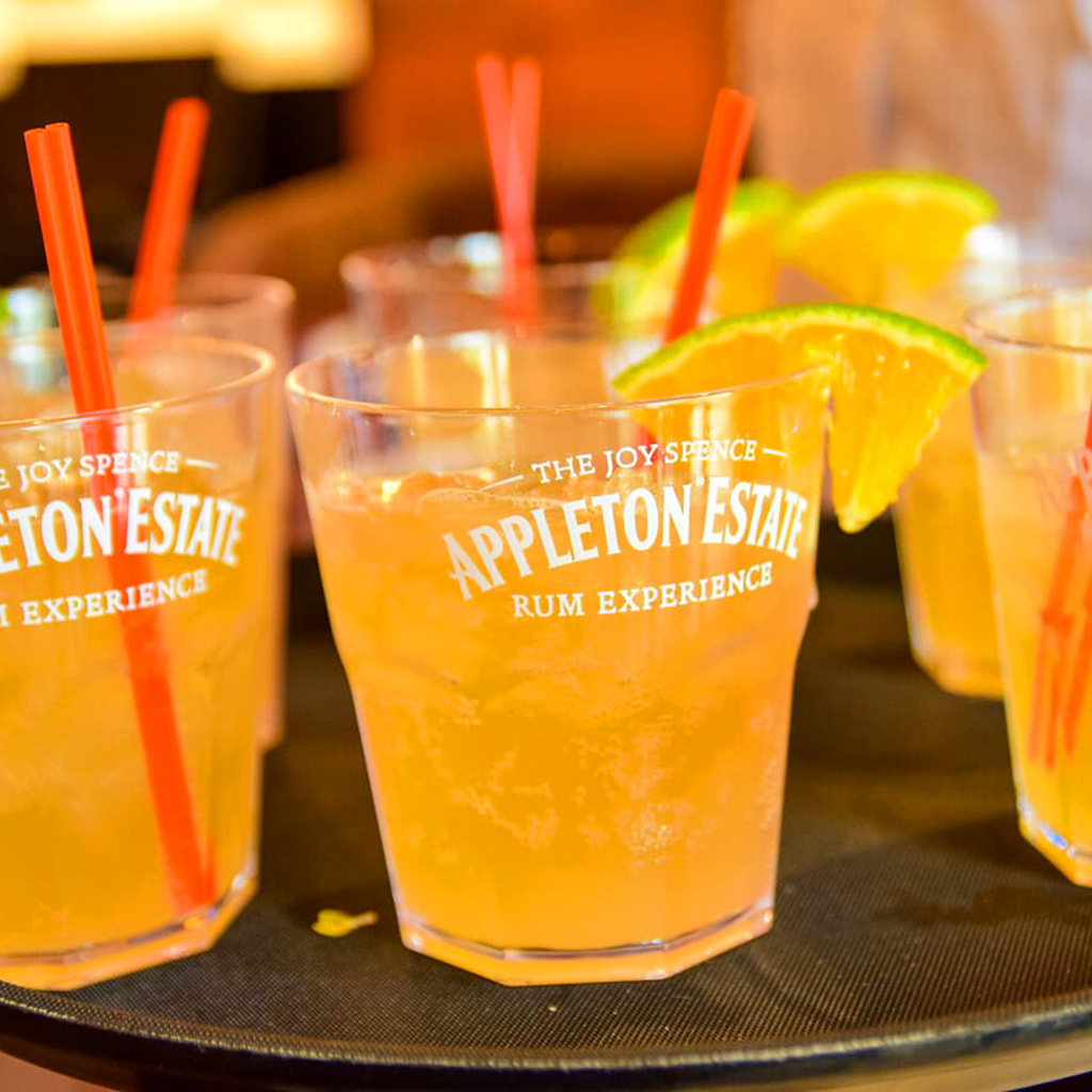 Cruise Black River, swim at YS Falls and enjoy rum tastings on Appleton Estate Tour