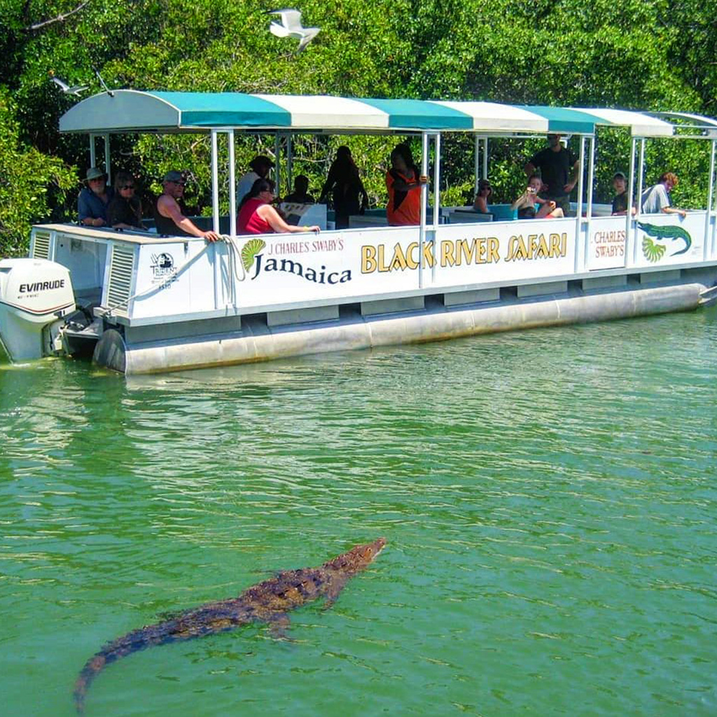 Cruise Black River, swim at YS Falls and enjoy rum tastings on Appleton Estate Tour