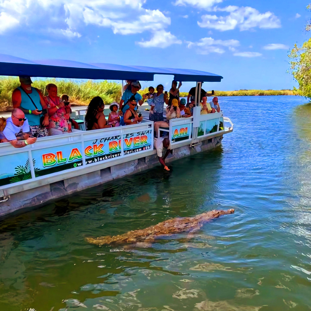Cruise Black River, swim at YS Falls and enjoy rum tastings on Appleton Estate Tour