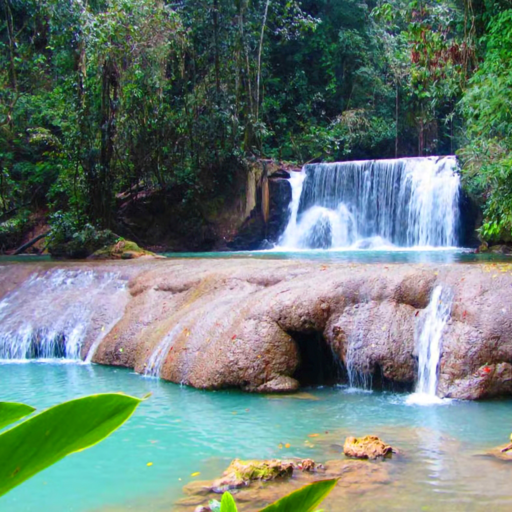 Cruise Black River, swim at YS Falls and enjoy rum tastings on Appleton Estate Tour