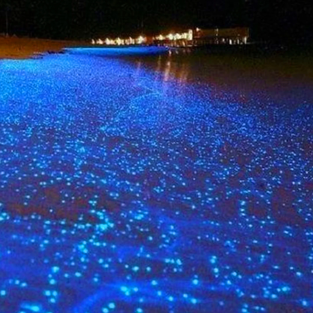 glistening-waters-luminous lagoon 1
