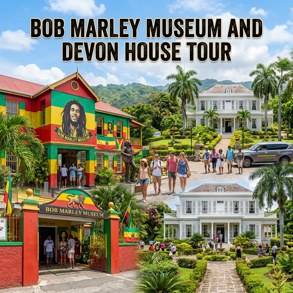 Bob Marley Museum and Devon House Tour - Original